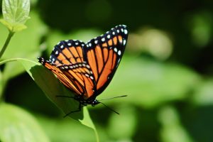 The Secret to Lasting Personal Transformation