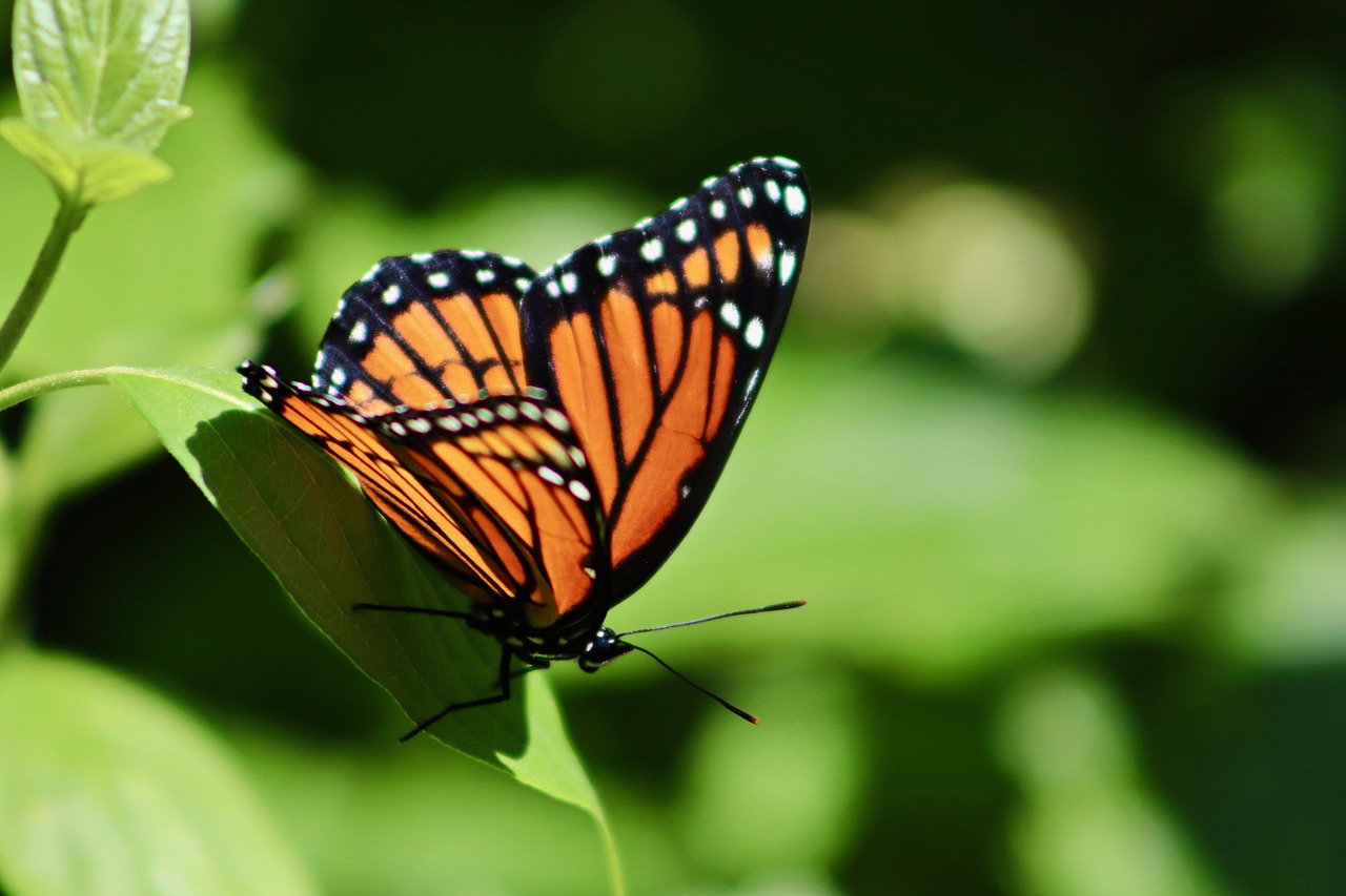 The Secret to Lasting Personal Transformation